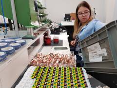 elektrotechnik-hillux-aus-polen-20180425_090504